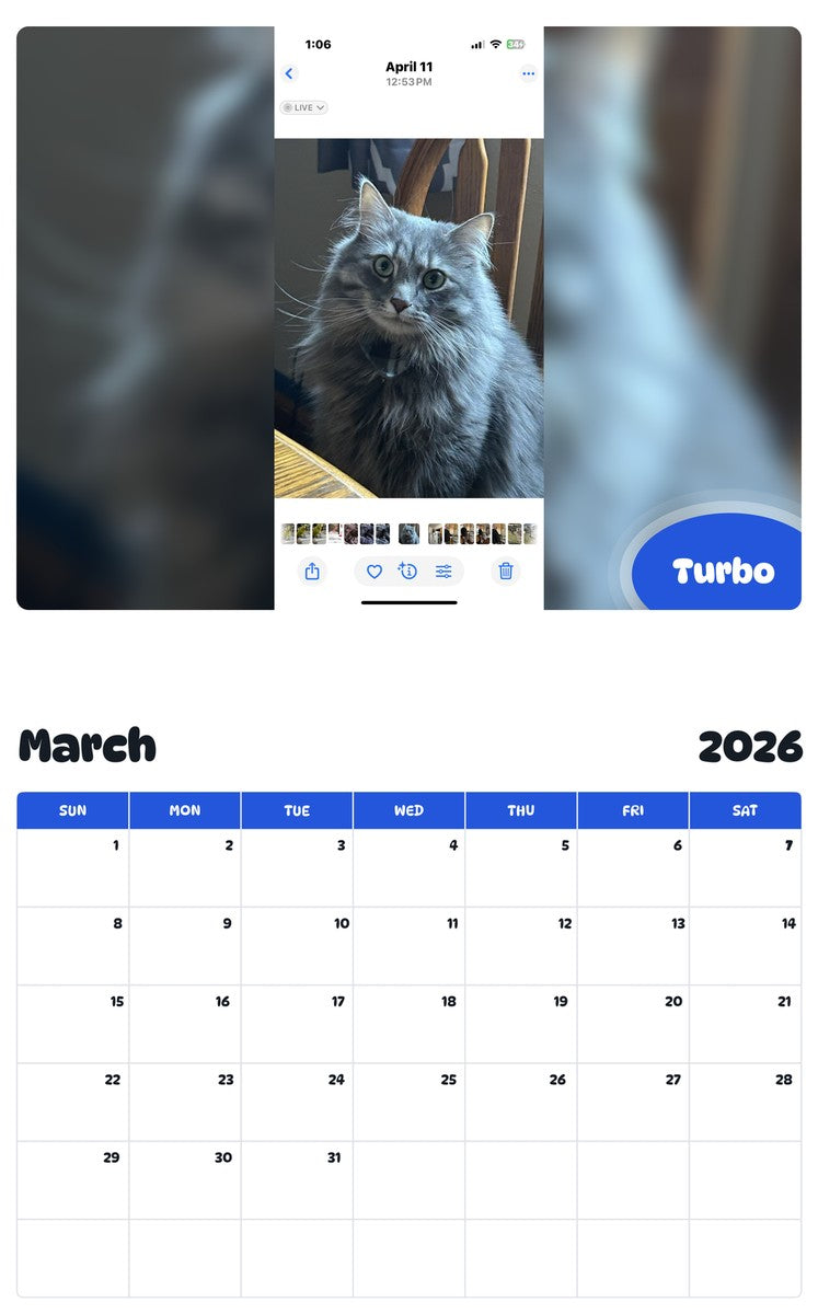 November 2025 - October 2026 Turbo - Pawidols Pet Calendar