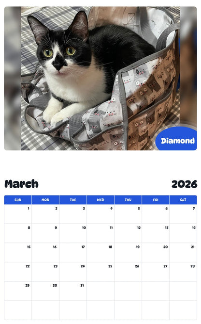 November 2025 - October 2026 Diamond - Pawidols Pet Calendar