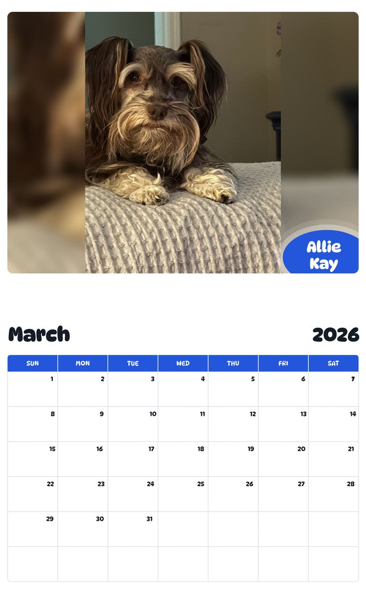 November 2025 - October 2026 Allie Kay - Pawidols Pet Calendar