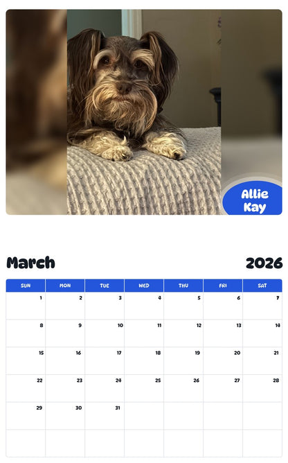 November 2025 - October 2026 Allie Kay - Pawidols Pet Calendar