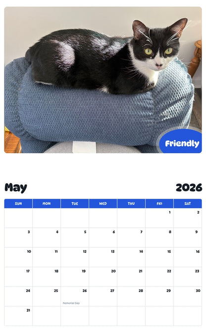 2026 - 2027 Friendly - Pawidols Pet Calendar