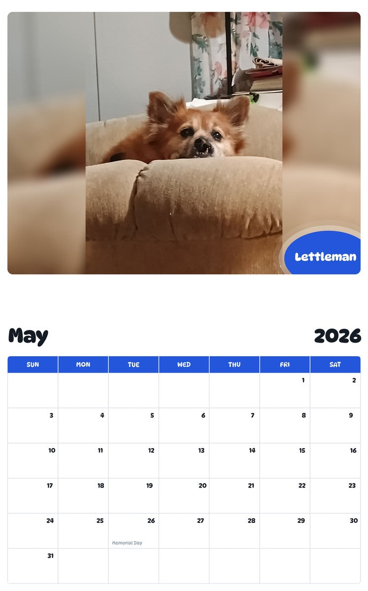 2026 - 2027 Lettleman - Pawidols Pet Calendar