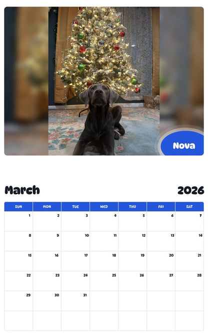 November 2025 - October 2026 Nova - Pawidols Pet Calendar
