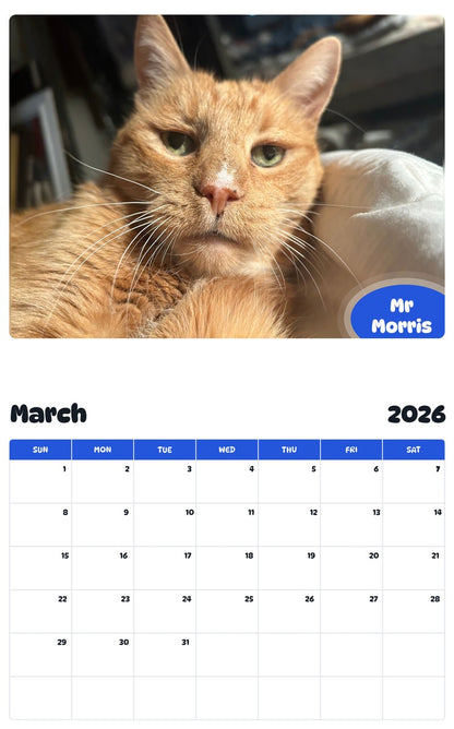 November 2025 - October 2026 Mr Morris - Pawidols Pet Calendar