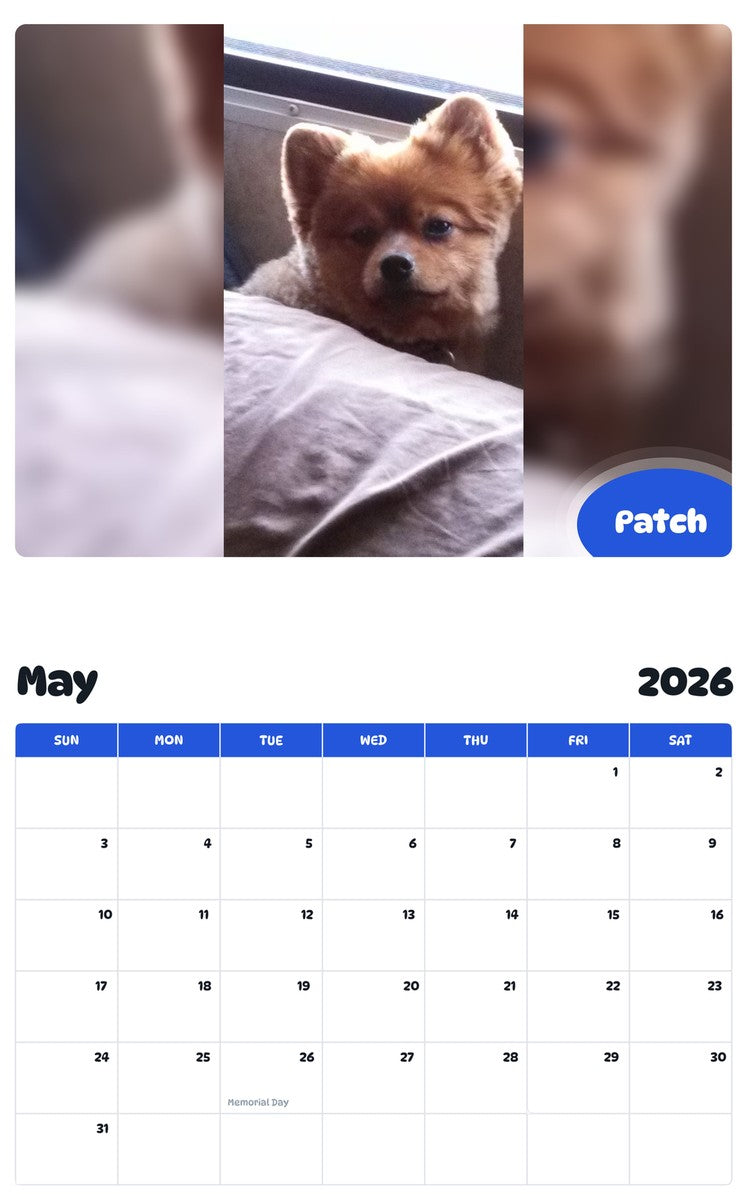 2026 - 2027 Patch - Pawidols Pet Calendar