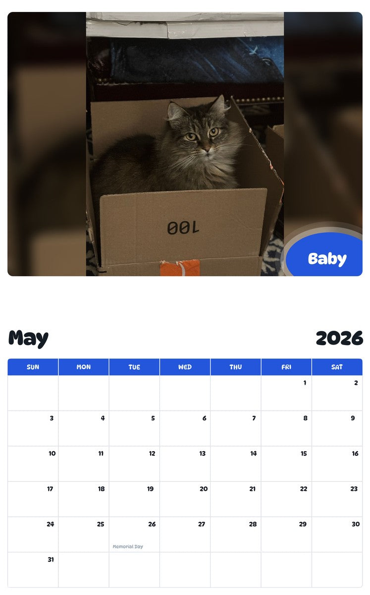 2026 - 2027 Baby - Pawidols Pet Calendar