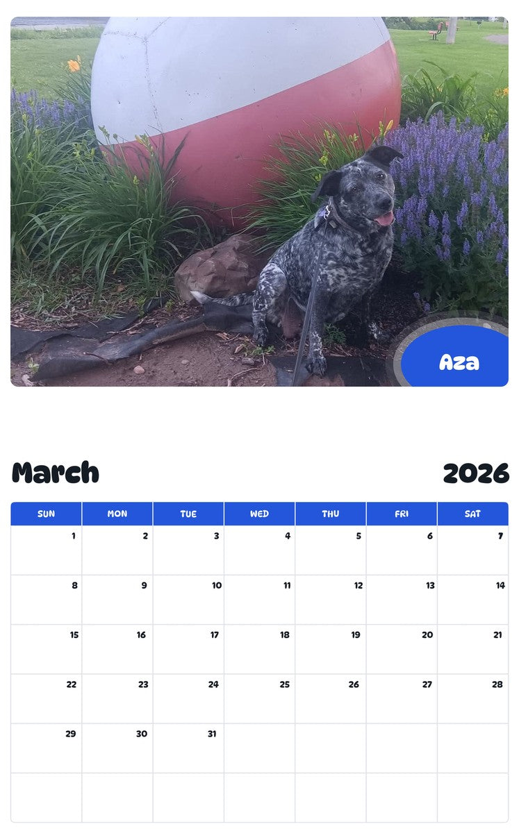 November 2025 - October 2026 Aza - Pawidols Pet Calendar