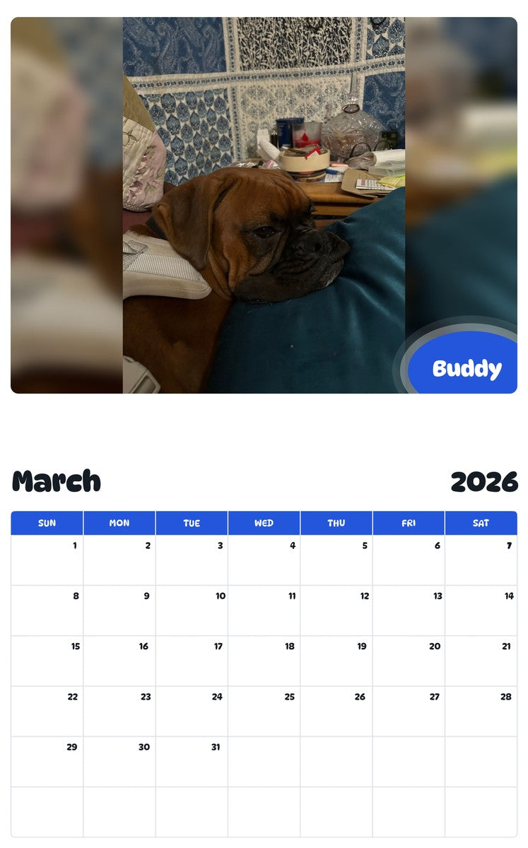 November 2025 - October 2026 Buddy - Pawidols Pet Calendar