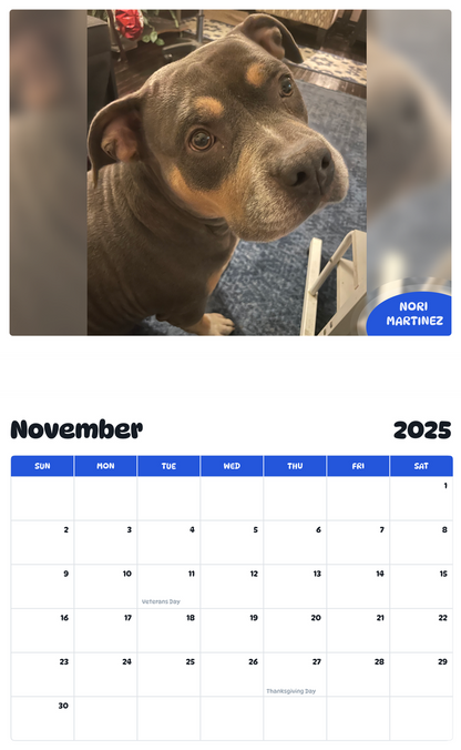July 2025 - June 2026 Nori Martinez - Pawidols Pet Calendar
