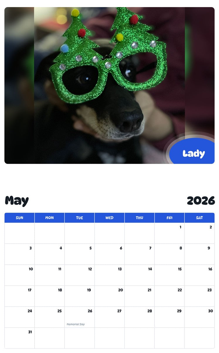 2026 - 2027 Lady - Pawidols Pet Calendar