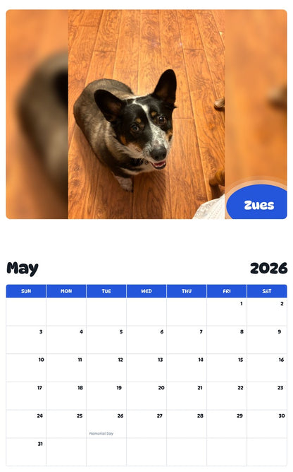 2026 - 2027 Zues - Pawidols Pet Calendar