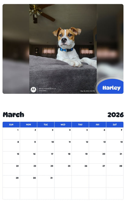 November 2025 - October 2026 Harley - Pawidols Pet Calendar