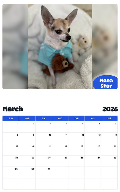 November 2025 - October 2026 Mena Star - Pawidols Pet Calendar
