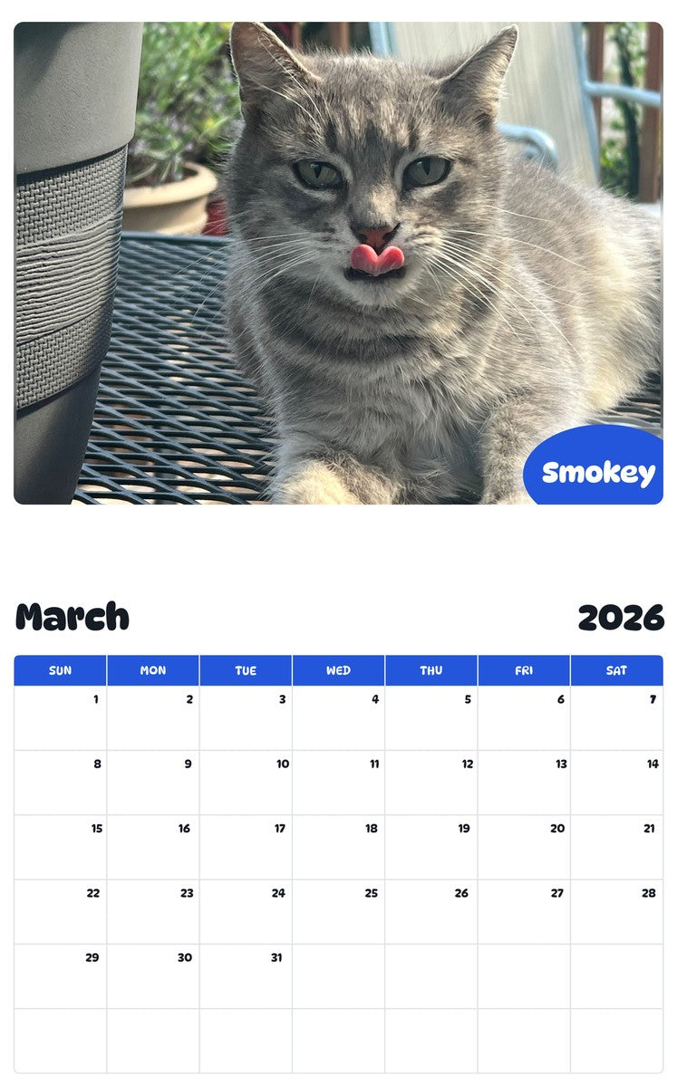 November 2025 - October 2026 Smokey - Pawidols Pet Calendar