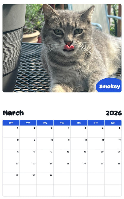November 2025 - October 2026 Smokey - Pawidols Pet Calendar
