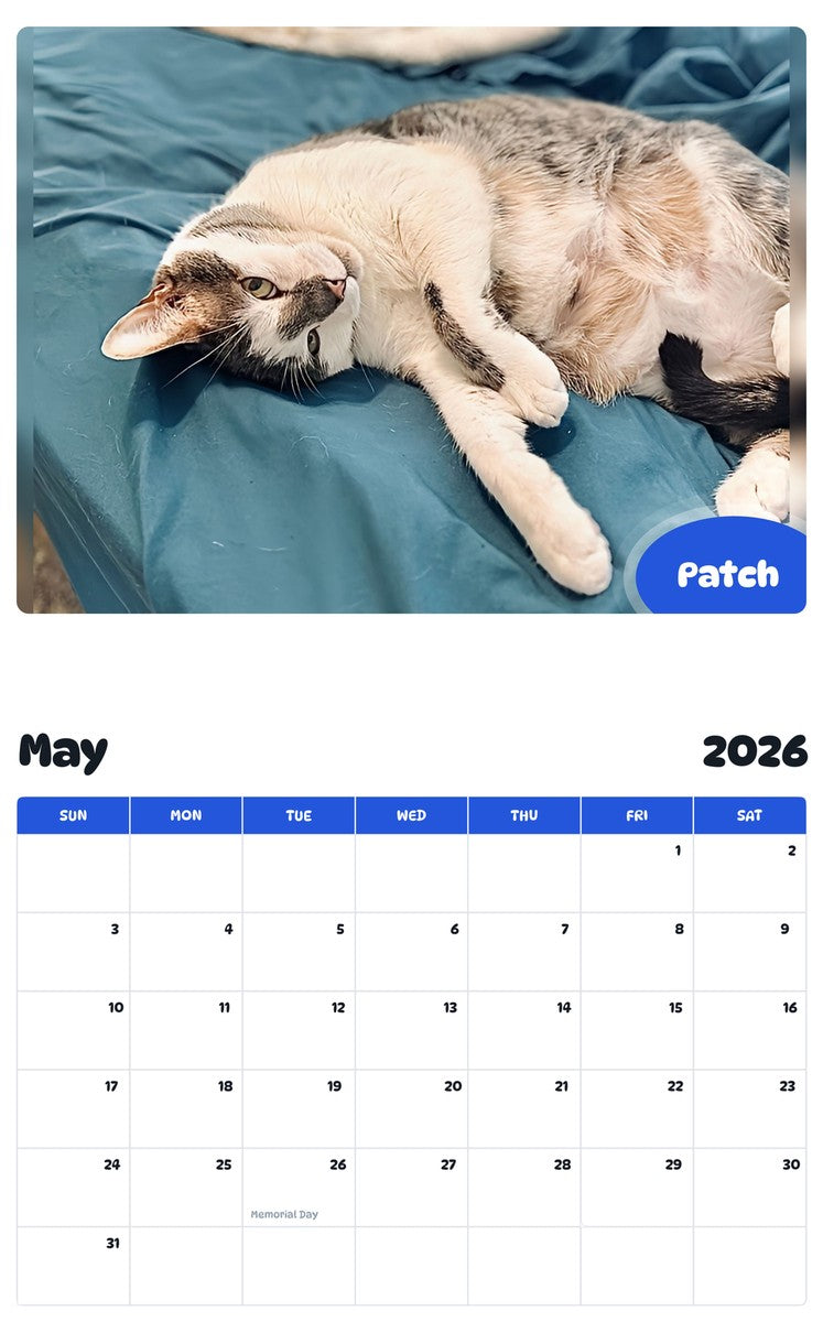 2026 - 2027 Patch - Pawidols Pet Calendar
