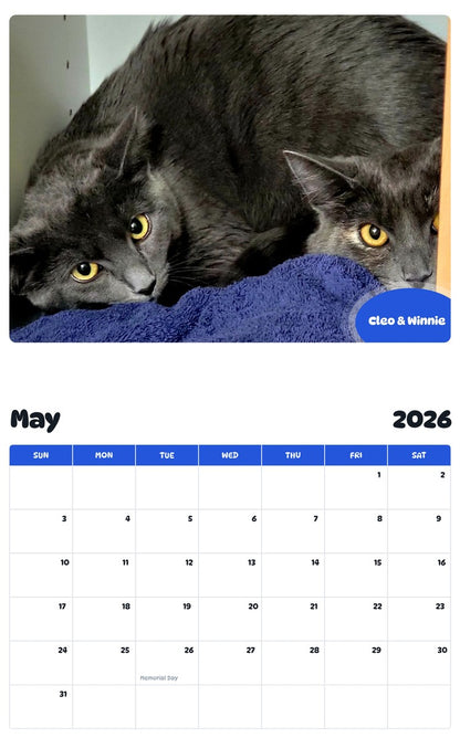 2026 - 2027 Cleo & Winnie - Pawidols Pet Calendar