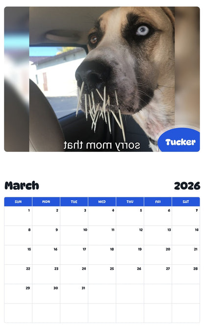 November 2025 - October 2026 Tucker - Pawidols Pet Calendar