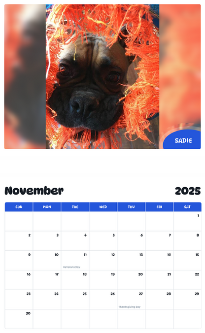 July 2025 - June 2026 Sadie - Pawidols Pet Calendar