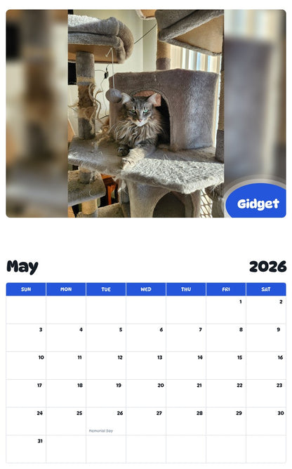 2026 - 2027 Gidget - Pawidols Pet Calendar