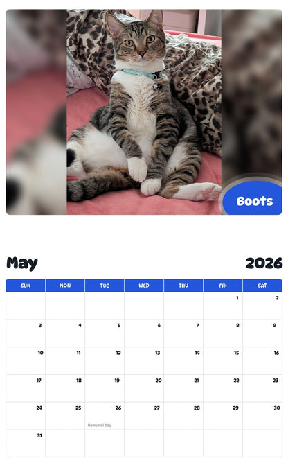 2026 - 2027 Boots - Pawidols Pet Calendar