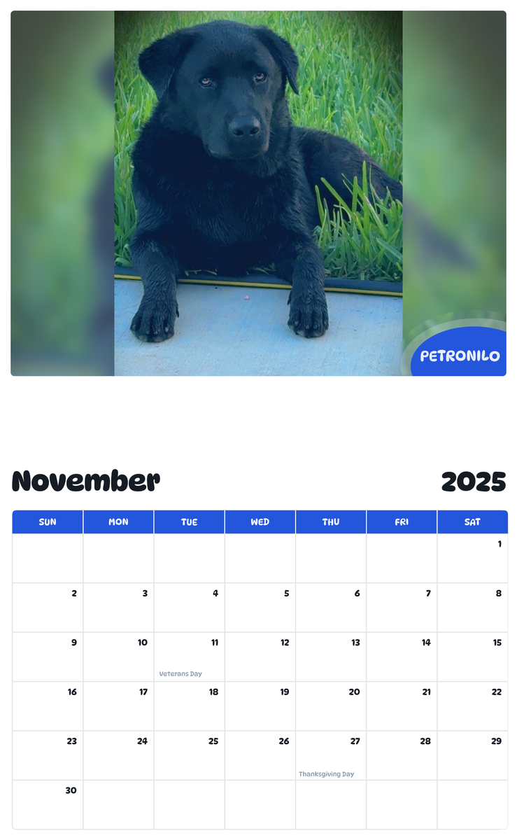 July 2025 - June 2026 Petronilo - Pawidols Pet Calendar