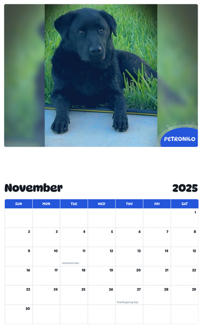 July 2025 - June 2026 Petronilo - Pawidols Pet Calendar