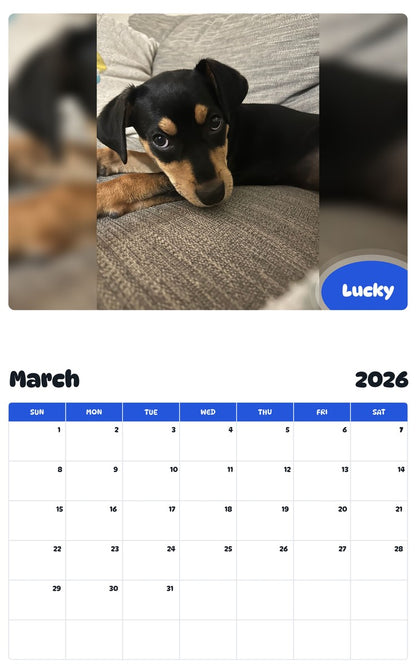 November 2025 - October 2026 Lucky - Pawidols Pet Calendar