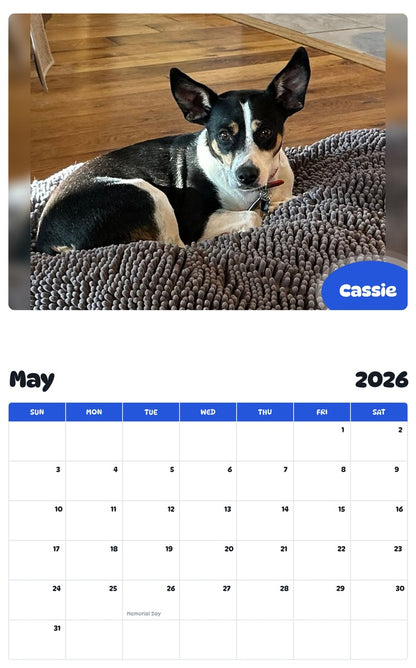 2026 - 2027 Cassie - Pawidols Pet Calendar