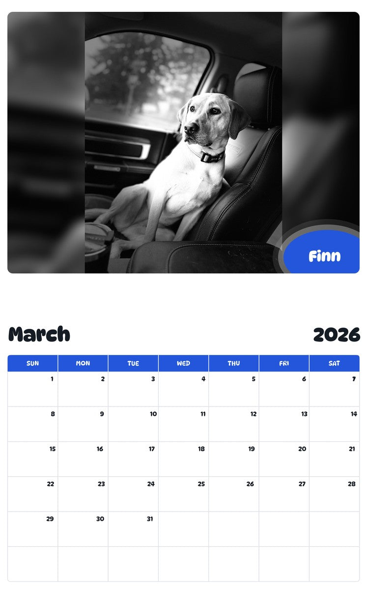 November 2025 - October 2026 Finn - Pawidols Pet Calendar