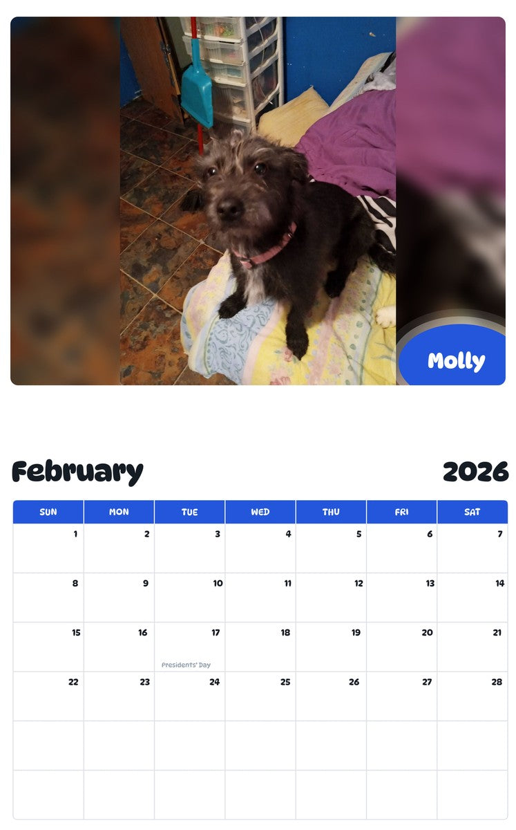 October 2025 - September 2026 Molly - Pawidols Pet Calendar