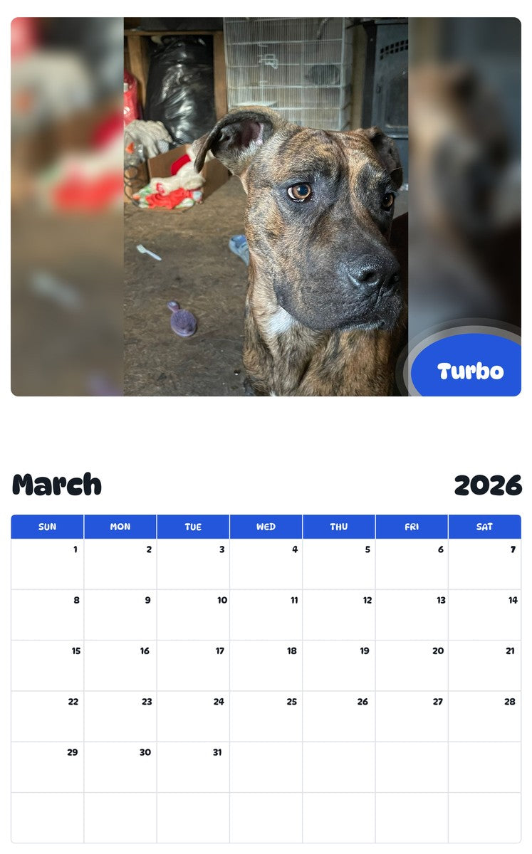 November 2025 - October 2026 Turbo - Pawidols Pet Calendar