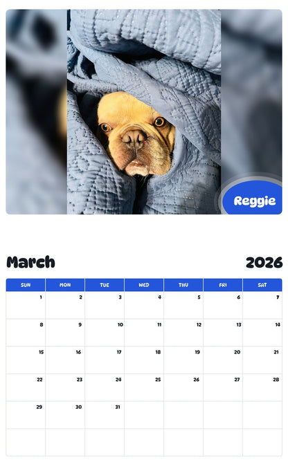 November 2025 - October 2026 Reggie - Pawidols Pet Calendar