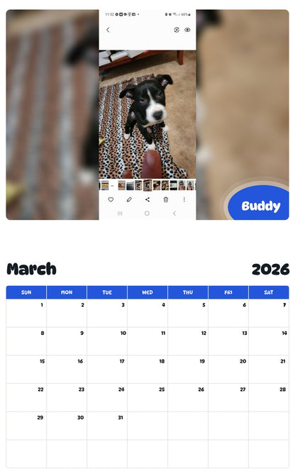 November 2025 - October 2026 Buddy - Pawidols Pet Calendar