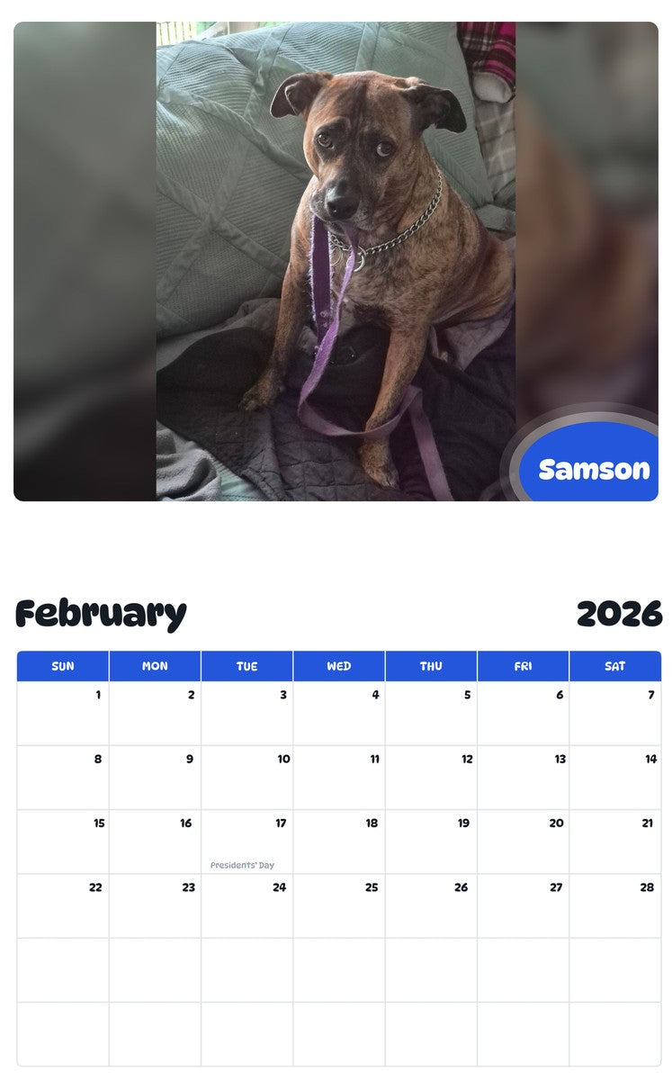 November 2025 - October 2026 Samson - Pawidols Pet Calendar