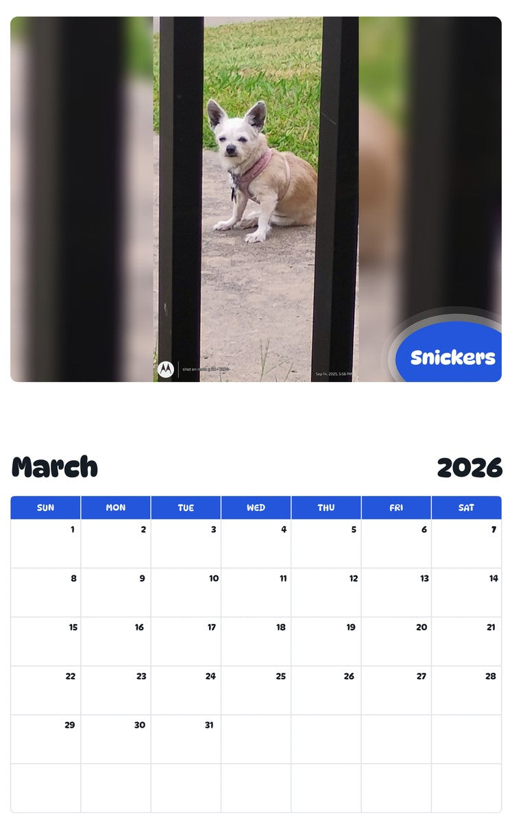 November 2025 - October 2026 Snickers - Pawidols Pet Calendar