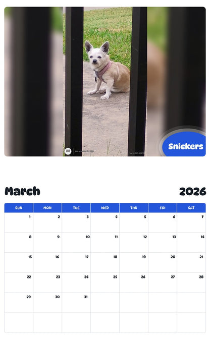November 2025 - October 2026 Snickers - Pawidols Pet Calendar