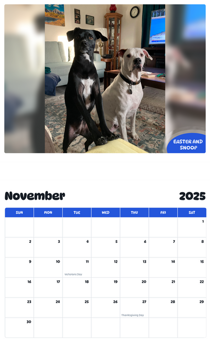 July 2025 - June 2026 Easter and Snoop - Pawidols Pet Calendar