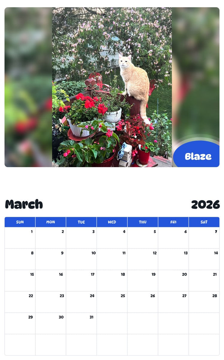 November 2025 - October 2026 Blaze - Pawidols Pet Calendar