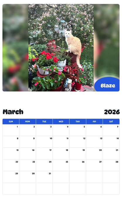 November 2025 - October 2026 Blaze - Pawidols Pet Calendar