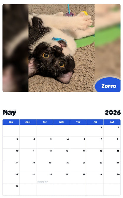 2026 - 2027 Zorro - Pawidols Pet Calendar