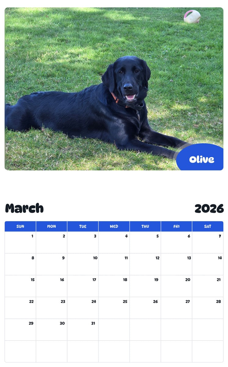 November 2025 - October 2026 Olive - Pawidols Pet Calendar