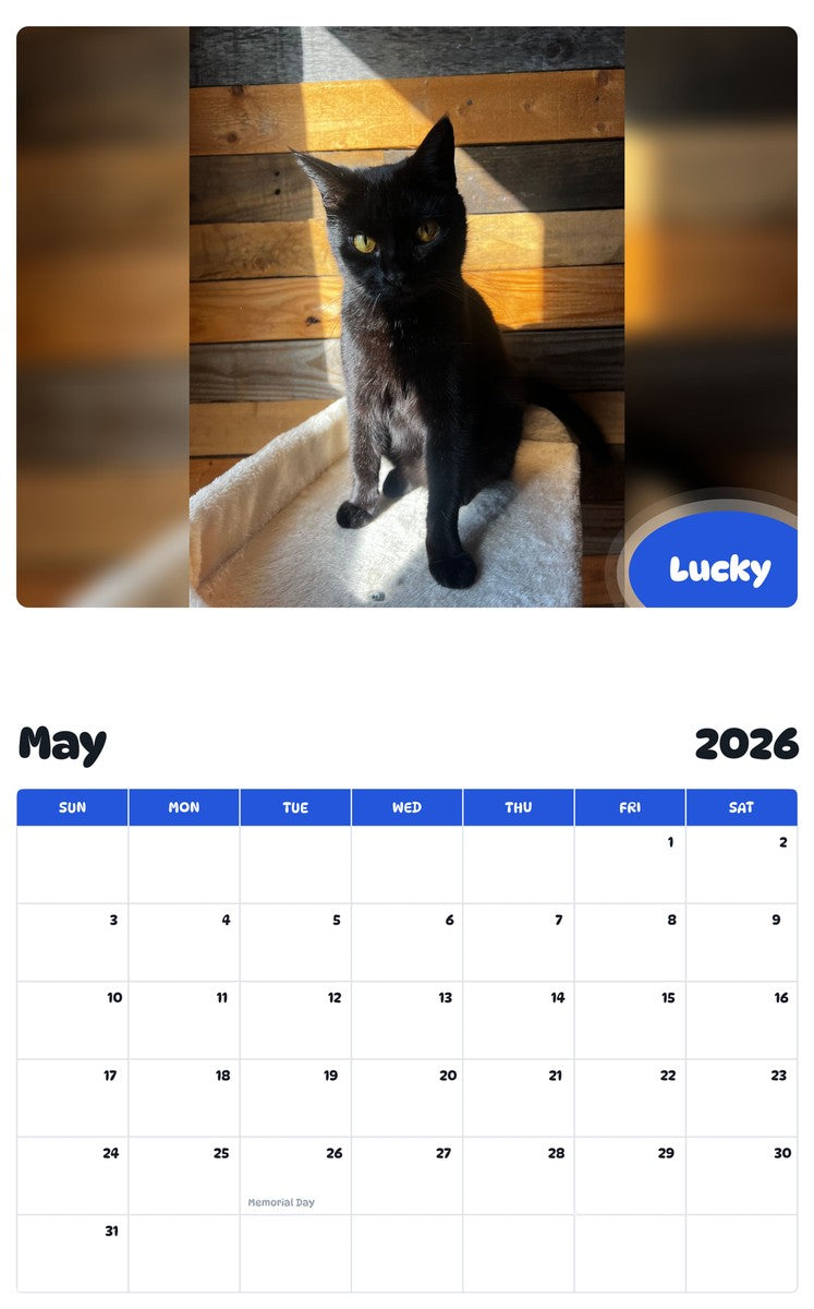 2026 - 2027 Lucky - Pawidols Pet Calendar