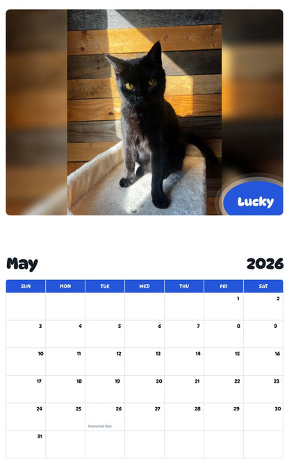 2026 - 2027 Lucky - Pawidols Pet Calendar