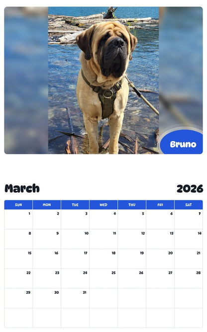 November 2025 - October 2026 Bruno - Pawidols Pet Calendar
