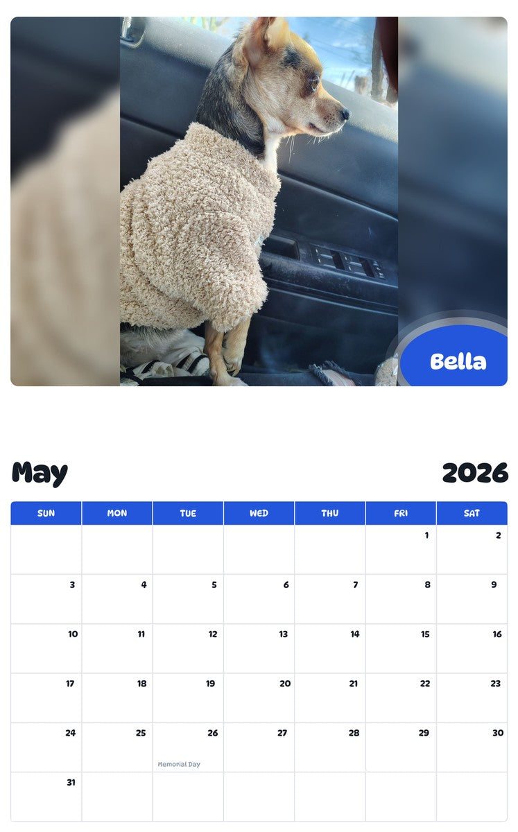 2026 - 2027 Bella - Pawidols Pet Calendar
