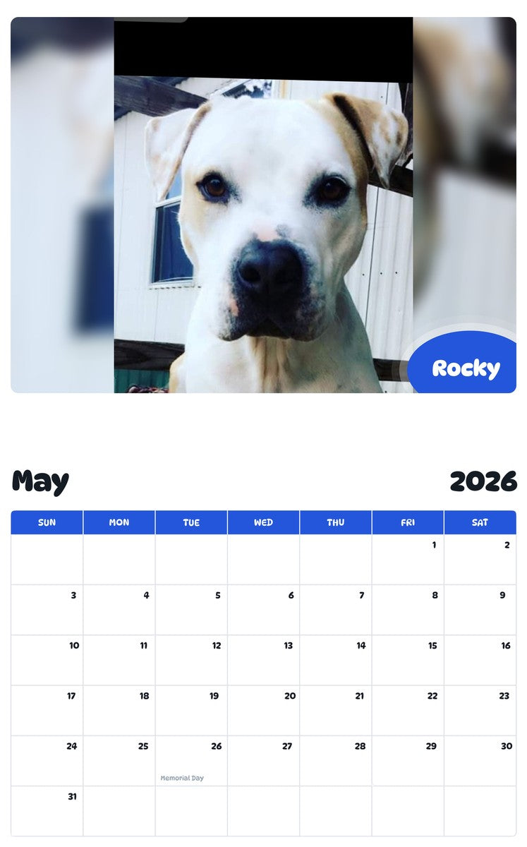2026 - 2027 Rocky - Pawidols Pet Calendar