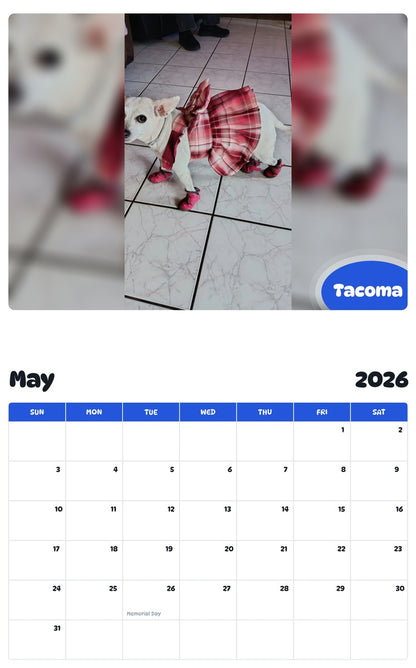 2026 - 2027 Tacoma - Pawidols Pet Calendar