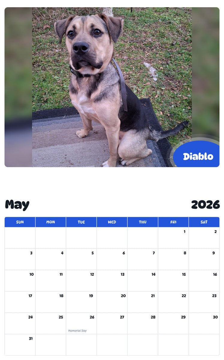 2026 - 2027 Diablo - Pawidols Pet Calendar