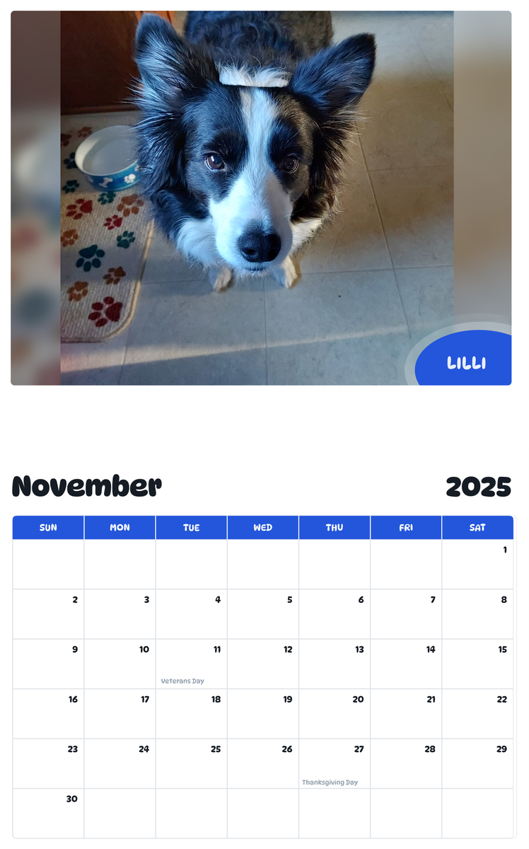 July 2025 - June 2026 Lilli - Pawidols Pet Calendar